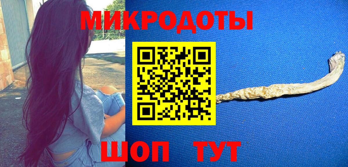 Березники  Псилоцибиновые грибы Cubensis  Вход с VPN 