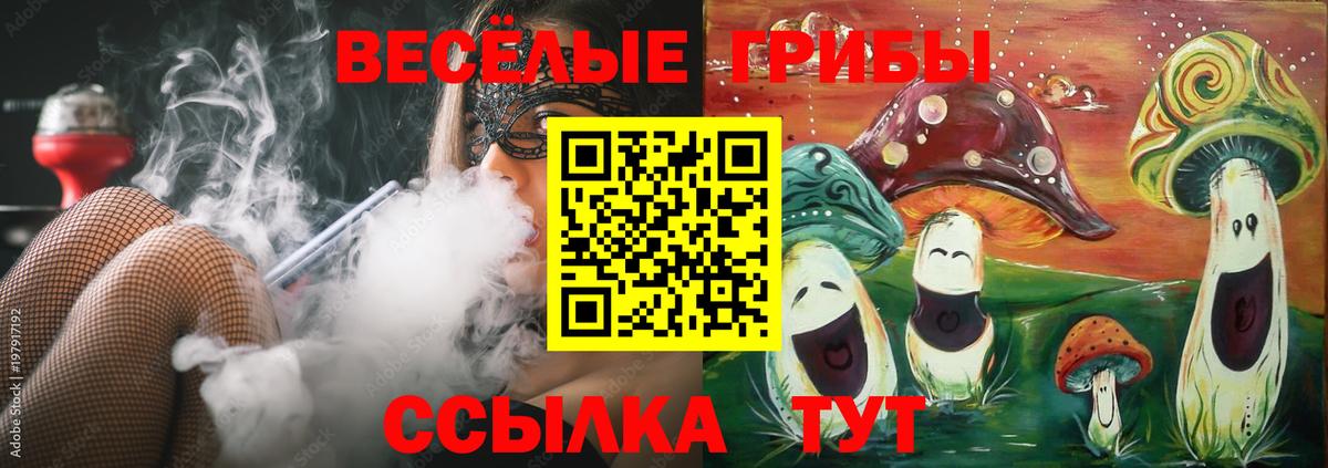 Галлюциногенные грибы Psilocybine cubensis Березники